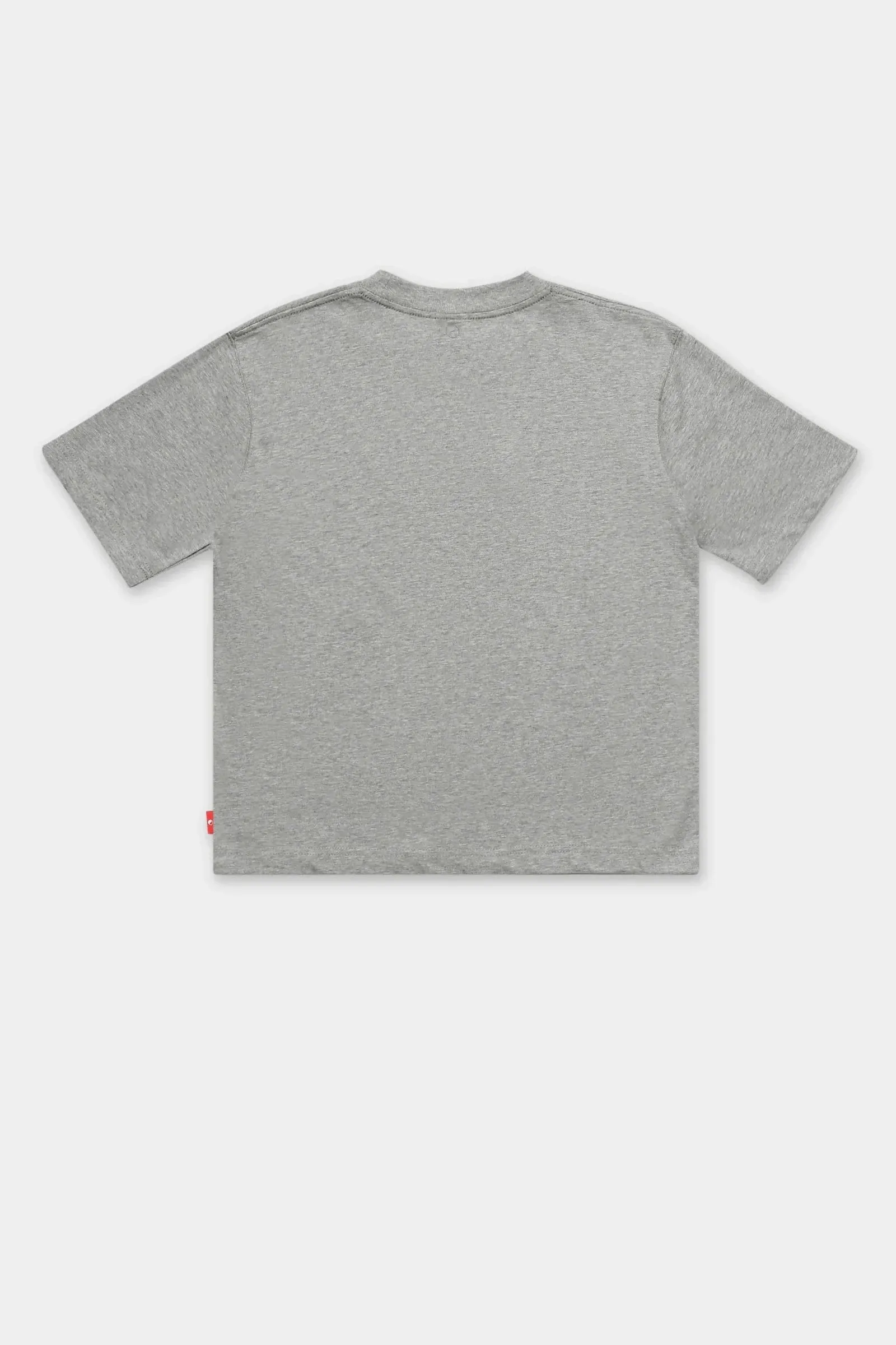 Worship keep on truckin' tee - grey marle